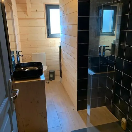 Maison En Bois Moderne Et Spacieuse Avec Piscine Soustons