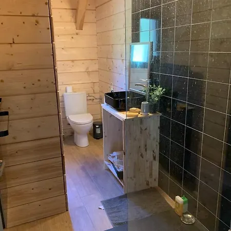 Maison En Bois Moderne Et Spacieuse Avec Piscine Holiday home Soustons
