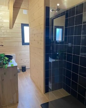 Maison En Bois Moderne Et Spacieuse Avec Piscine Soustons