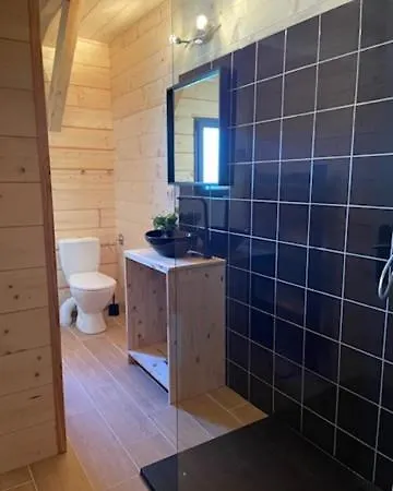 Maison En Bois Moderne Et Spacieuse Avec Piscine *